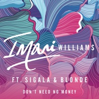 Don't Need No Money (feat. Sigala & Blonde) - Single - Imani Williams