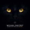 Michael Canitrot