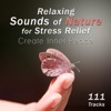 111 Tracks: Relaxing Sounds of Nature for Stress Relief - Create Inner Peace, Deep Relaxation for Meditation, Yoga Music, Reiki Sound Healing, Sleep, Chakra Balancing, Body, Mind & Soul