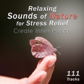 111 Tracks: Relaxing Sounds of Nature for Stress Relief - Create Inner Peace, Deep Relaxation for Meditation, Yoga Music, Reiki Sound Healing, Sleep, Chakra Balancing, Body, Mind & Soul artwork