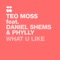 What U Like (feat. Daniel Shems) - Phylly lyrics