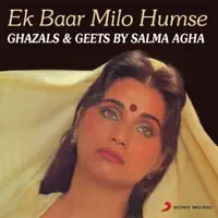 Jahan Aaj Hum Mile Hain — Salma Agha
