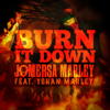 Burn It Down (feat. Yohan Marley) - Jo Mersa Marley new Single