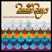 The Beach Boys - Think About The Days