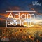 Wifey - Adam & Toju lyrics