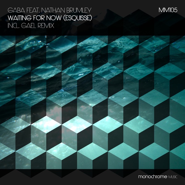 Waiting for Now (Esquisse) [feat. Nathan Brumley] - Single