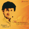 P. Unnikrishnan - Memorables artwork
