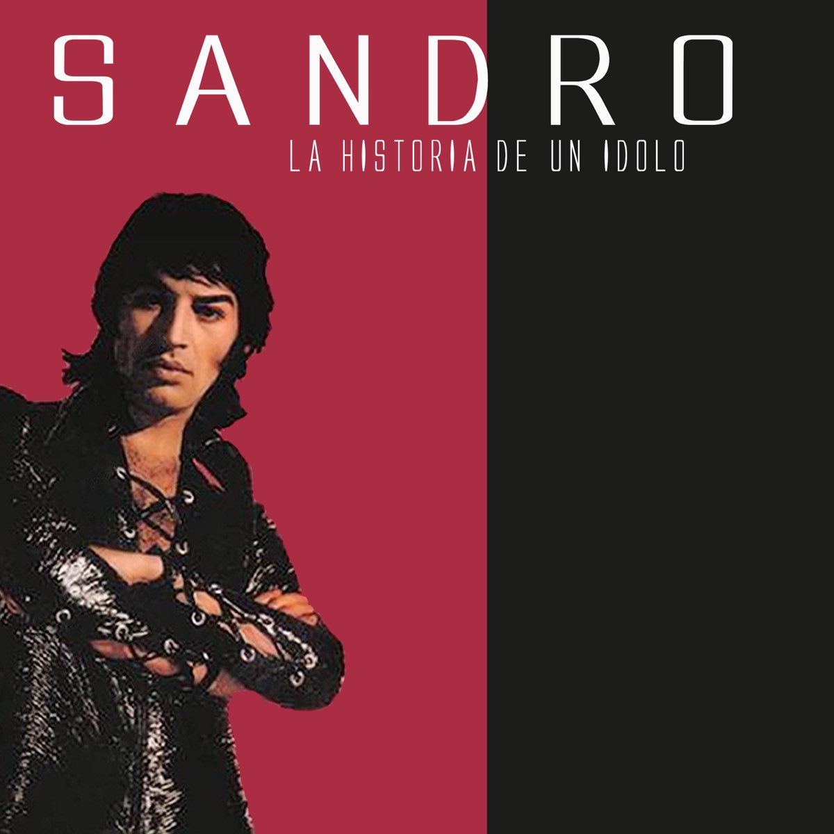 ‎la Historia De Un Ídolo Album By Sandro Apple Music