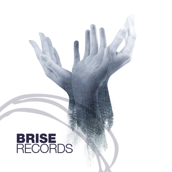 Rehabilitated - Single
