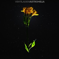 Astromelia - Ventilader
