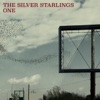 The Silver Starlings