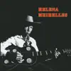 Helena Meirelles - Fim de Baile