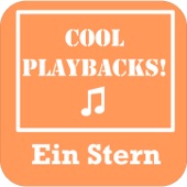 Ein Stern (Instrumental Karaoke Version Originally Performed By DJ Ötzi & Nic P.) artwork