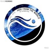 Hide from the World (Radio Edit) artwork
