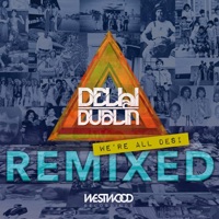 We're All Desi (Remixed) - Delhi 2 Dublin