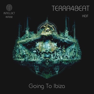 Going To Ibiza - Single