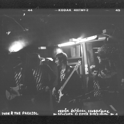 Festők Építészek Szobrászok Zenészek És Egyéb Komédiások - Single