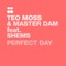 Perfect Day (feat. Daniels Shems) - Teo Moss & Master Dam lyrics