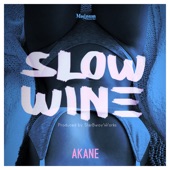 Slow Wine artwork