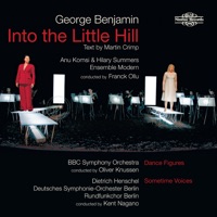 Benjamin: Into the Little Hill - Various Artists