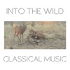 Into the Wild Classical Music artwork