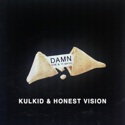 Damn (Kulkid & Honest Vision) - Single
