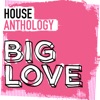 Big Love House Anthology