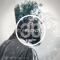 Decibel (Piem Remix) - Enzo Tucci & Richard Cleber lyrics
