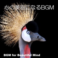 BGM for Beautiful Mind