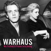 Warhaus cover