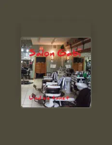 Listen to Salon Gabi, watch music videos, read bio, see tour dates & more!