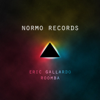 Eric Gallardo - Roomba artwork