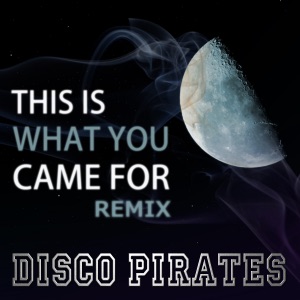 This is What You Came For (Remix) [Calvin Harris feat. Rihanna Cover] - Single
