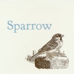 Sparrow - One Eye Closed