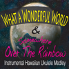 What a Wonderful World & Somewhere Over the Rainbow [Instrumental Hawaiian Ukulele Medley] - John Story