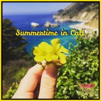 Summertime in Cali (feat. Tequa) - Single - Flamer