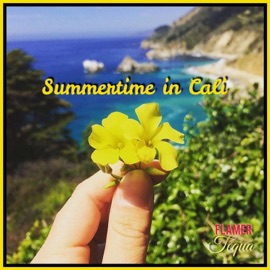 Summertime in Cali (feat. Tequa) Flamer