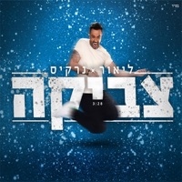 צביקה - Single - Lior Narkis