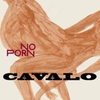 Cavalo