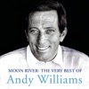 It's the Most Wonderful Time of the Year by Andy Williams iTunes Track 11