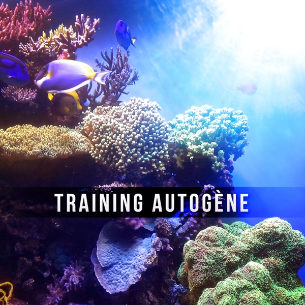 Training autogène – Sophrologie, Réflexologie & Méditation avec sons de la nature et musique zen, Bien-être avec New Age