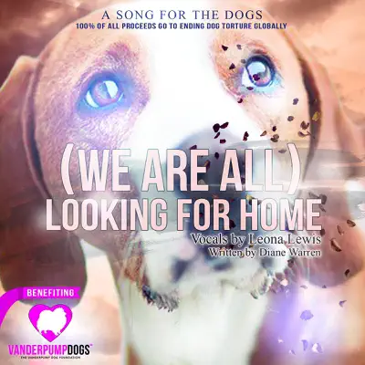 (We Are All) Looking for Home - Single - Leona Lewis