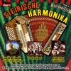 Steirische Harmonika Schmankerln