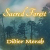 Didier Forest Angel's Ladder Sacred Forest