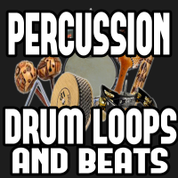 Big Wall Productions - Percussion Drum Loops and Beats artwork