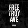 Troy Ave - Outro (Troy Ave Speaks)