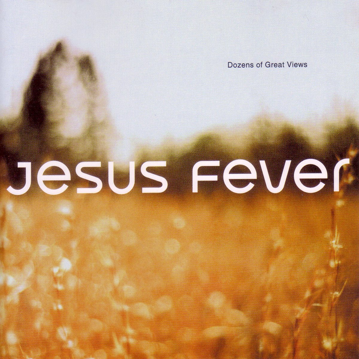 Dozens of Great Views (Remastered) - Jesus Feverのアルバム - Apple Music