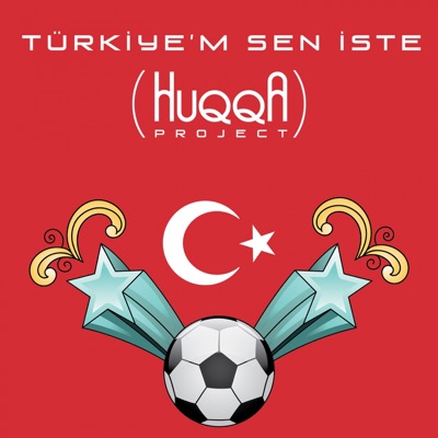 Türkiye'm Sen İste - Single