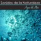 Nature Ambience - Sonidos Naturales Relax lyrics