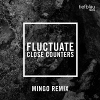 Fluctuate (Mingo Remix) - Single - Close Counters